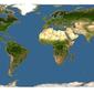 Discover Life: Point Map of Uraria acaulis